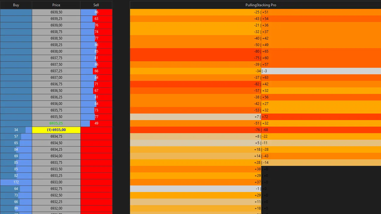 Liquidity Pulse Pro monitoring pulling stacking liquidity flux order book NinjaTrader futures trading